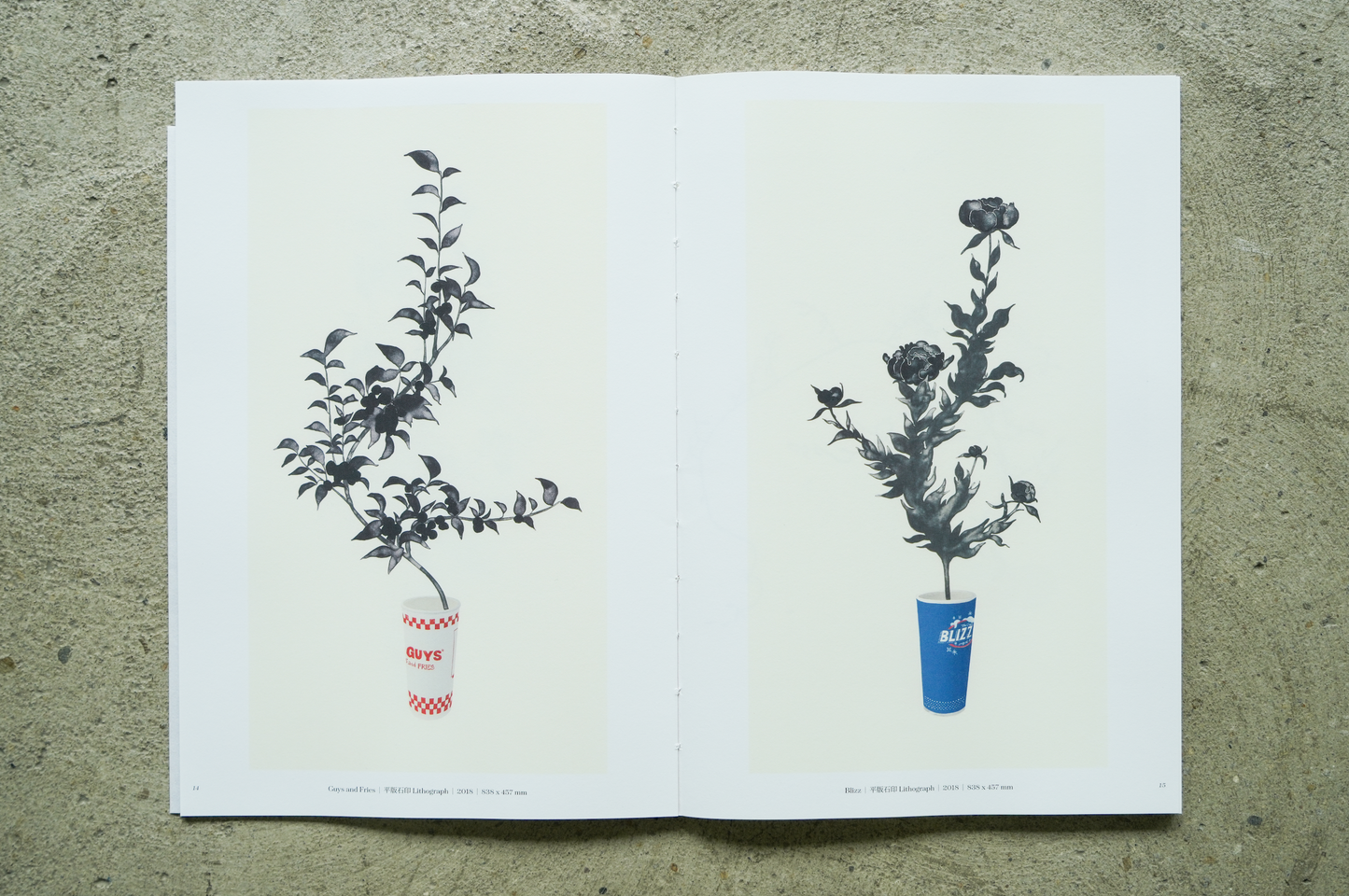 Catalogue of "Yoonmi Nam: Arranged Flowers"
