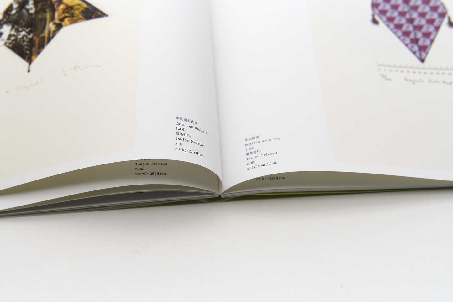 Catalogue of "Stephen Hoskins: Flight of Fancy"
