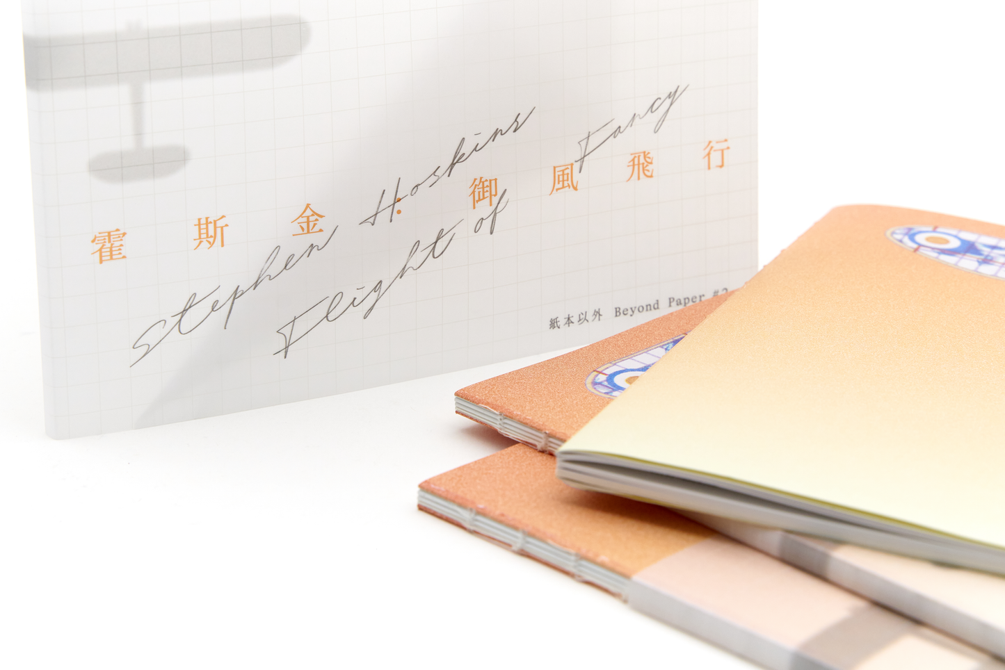 Catalogue of "Stephen Hoskins: Flight of Fancy"