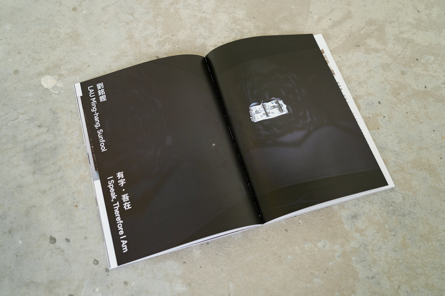 「點止執印切釘——書的藝術」展覽圖錄 "Beyond the Ordinary – Contemporary Book Art" Exhibition Catalogue